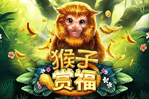 Monkey Pays